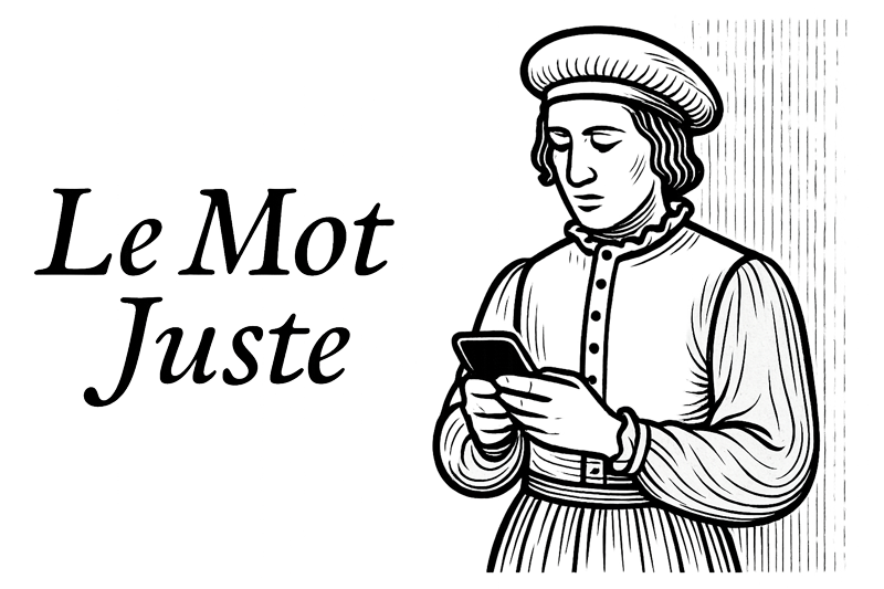 Le mot juste, French language and culture newsletter by Jérôme Vanbaelinghem